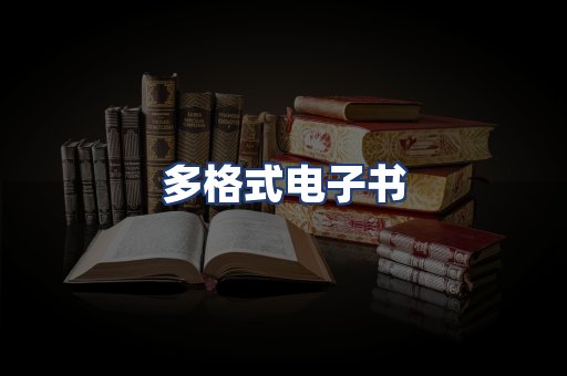 多格式电子书